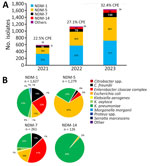 Variants and species involved in emergence and polyclonal dissemination of blaNDM-7–carrying InX3 plasmid in Enterobacter cloacae complex, France, 2021–2023. A) Distribution of NDM variants among CPE. B) Enterobacterales species distribution for the 4 most prevalent NDM variants detected. CPE, carbapenemase-producing Enterobacterales; NDM, New Delhi metallo-β-lactamase.