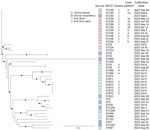 Phylogeny of Stenotrophomonas maltophilia detected in bloodstream infection outbreak in acute care hospital, California, United States, 2022–2023. Case-patient numbering starts at 4 because isolates for the first 3 cases were unavailable for sequencing. Full circles on the phylogenetic tree indicate evolutionary branching in the tree with a high value (n = 1) or strong support for the hypothesis that the branching is true. Cluster 1 (n = 12) differed by 0–4 pairwise high-quality single-nucleotide variants (hqSNVs), across 98.54% of the reference isolate core-genome. Cluster 2 (n = 5) differed by 1–21 hqSNVs, across 97.56% of the core-genome. Cluster 3 (n = 2) differed by 12 hqSNVs, across 98.68% of the core-genome. Cluster 4 (n = 2) differed by 3 hqSNVs, across 99.01% of the core-genome. Scale bar indicates nucleotide substitutions per site.