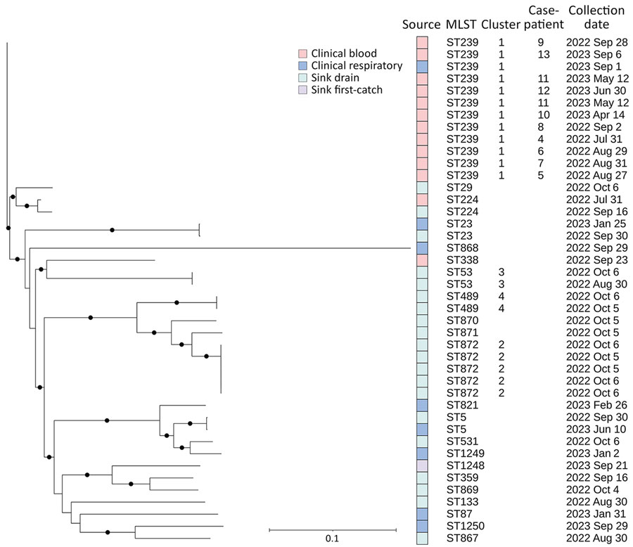 Phylogeny of Stenotrophomonas maltophilia detected in bloodstream infection outbreak in acute care hospital, California, United States, 2022–2023. Case-patient numbering starts at 4 because isolates for the first 3 cases were unavailable for sequencing. Full circles on the phylogenetic tree indicate evolutionary branching in the tree with a high value (n = 1) or strong support for the hypothesis that the branching is true. Cluster 1 (n = 12) differed by 0–4 pairwise high-quality single-nucleotide variants (hqSNVs), across 98.54% of the reference isolate core-genome. Cluster 2 (n = 5) differed by 1–21 hqSNVs, across 97.56% of the core-genome. Cluster 3 (n = 2) differed by 12 hqSNVs, across 98.68% of the core-genome. Cluster 4 (n = 2) differed by 3 hqSNVs, across 99.01% of the core-genome. Scale bar indicates nucleotide substitutions per site.
