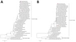 Phylogenetic analysis of avian influenza A(H10N3) virus from human infection, China, 2024. A) Hemagglutinin gene; B) neuraminidase gene. Black triangles indicate A/Guangxi/ 01591/2024(H10N3) virus from patient isolates. Purple circles indicate 2 other virus isolates from humans in China. Scale bar indicates nucleotide substitutions per site. 