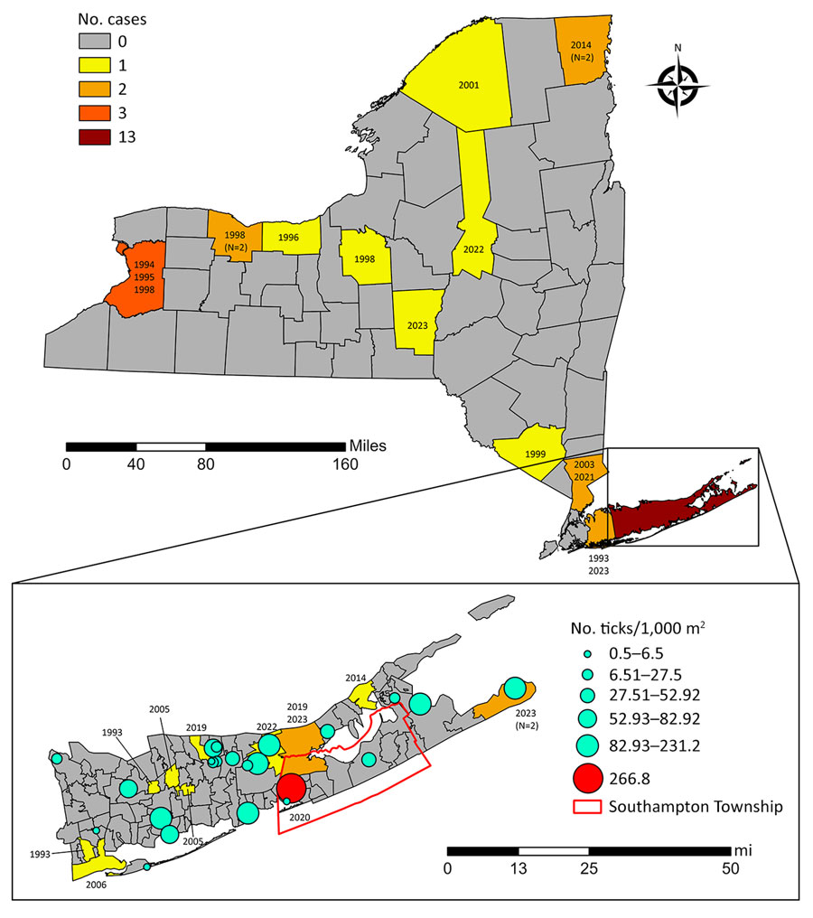 Human tularemia cases mapped by county of residence, New York, USA, 1993–2023. Year of case diagnosis shown. Inset displays tularemia cases by postal (ZIP) code tabulation area of residence, Suffolk County, New York, 1993–2023, overlaid with cumulative host-seeking tick density (2019–2023). Tick density expressed as ticks per 1,000 m2 sampled (nymphs and adults combined), cumulative over the surveillance period. Red marker indicates location of the Francisella tularensis–positive tick pool.
