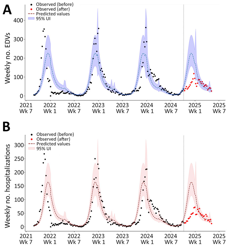 Interrupted time series analysis of EDVs (A) and hospitalizations (B) for lower respiratory tract infections among infants <12 months of age in study of reduced EDVs and hospitalizations in infants after universal respiratory syncytial virus immunization, Italy, 2024–25. Numbers are shown for ISO week 35–2021 to ISO week 19–2025. A negative binomial model incorporating a Fourier parameter was trained using historic data before the launch of the universal respiratory syncytial virus immunization program (before October 10, 2024; vertical dashed lines indicate launch date) and was then used to compute predicted values and 95% UIs. Those values are displayed against the observed weekly counts of EDVs and hospital admissions for lower respiratory tract infections. EDV, emergency department visit; UI, uncertainty interval. 