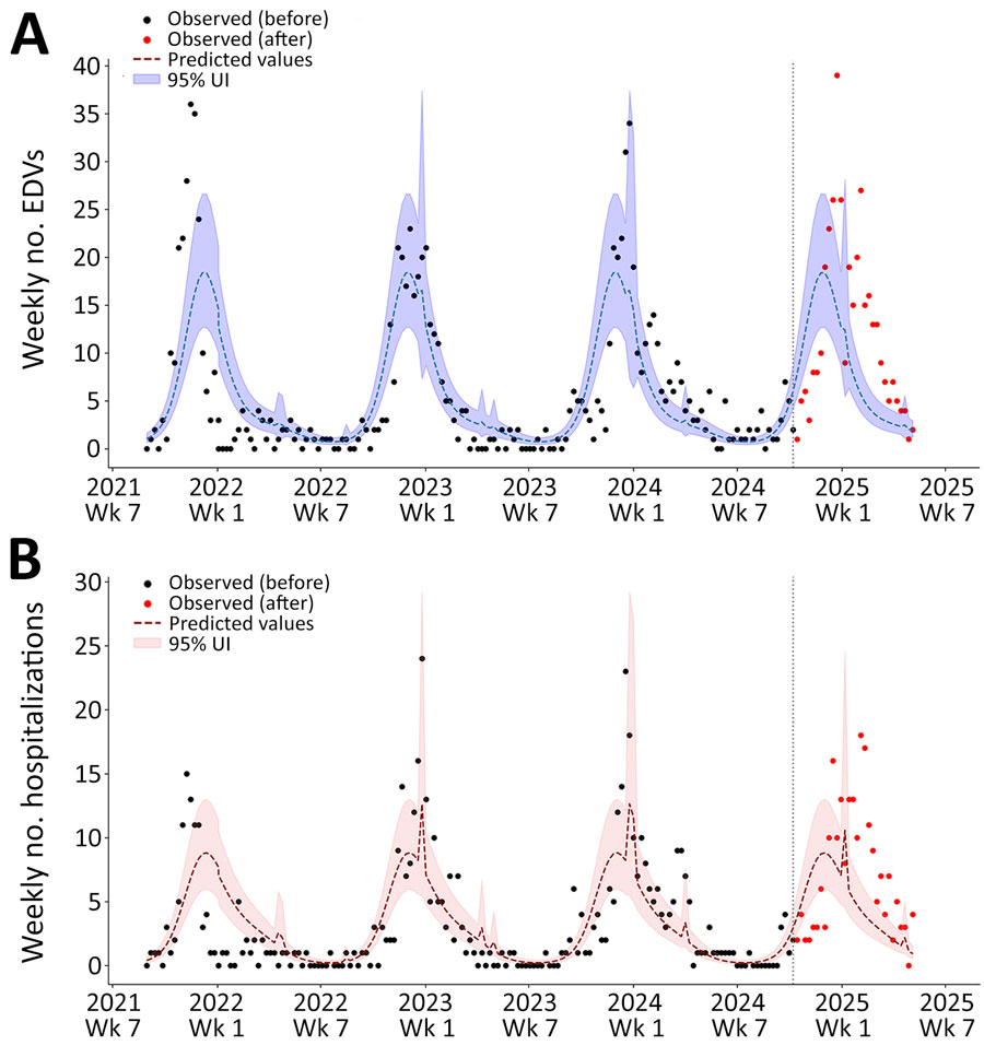 Interrupted time series analysis of EDVs (A) and hospitalizations (B) for lower respiratory tract infections among children 1–5 years of age in study of reduced EDVs and hospitalizations in infants after universal respiratory syncytial virus immunization, Italy, 2024–25. Numbers are shown for ISO week 35–2021 to ISO week 19–2025. A negative binomial model incorporating a Fourier parameter was trained using historic data before the launch of the universal respiratory syncytial virus immunization program (before October 10, 2024; vertical dashed lines indicate launch date) and was then used to compute predicted values and 95% UIs. Those values are displayed against the observed weekly counts of EDVs (and hospital admissions for lower respiratory tract infections. EDV, emergency department visit; UI, uncertainty interval. 