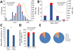 Prevalence, macrolide resistance rates, and P1 genotype distribution of Mycoplasma pneumoniae during 2024–2025 outbreak, Hamilton, Ontario, Canada. A) Monthly detection rates of macrolide-susceptible and -resistant M. pneumoniae during January 2024–April 2025. B) Detection rates of macrolide-susceptible and -resistant M. pneumoniae by age group. C) Comparison of macrolide resistance rates in M. pneumoniae before and after primary COVID-19 pandemic years. D) Macrolide resistance rates among different P1 types of M. pneumoniae. E) Distribution of P1-1 and P1-2 variant types among M. pneumoniae strains before and after primary COVID-19 pandemic years. p value was obtained from χ2 test with Yates correction. NS, not significant.