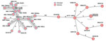 Minimum spanning tree generated to evaluate the genetic relationship of 29 Klebsiella pneumoniae-ST23 isolates (capsule types K1 and K57) during study of a fatal pneumocephalus case caused by hypervirulent K. pneumoniae in Germany (Appendix Table). Ridom SeqSphere version 10.0.4 (ridom, https://www.ridom.de) was used to create tree for 29 samples isolated from hospitals in Germany on the basis of 2,358 columns, pairwise ignoring missing values, and logarithmic scale. Distance is on the basis of columns from K. pneumoniae sensu lato core genome multilocus sequence type (2,358 genes). Cluster distance threshold is 15 according to the Ridom Seqsphere. The patient isolates from this case (0354/24 and 0355/24) are labeled as cluster 2. Isolate 0074/24 is another K. pneumoniae ST23-K1 isolate from a patient with liver abscess admitted to the same hospital. Cluster 1 represents K. pneumoniae ST23-K57 isolates with virulence or convergence plasmids that were in part from patients previously hospitalized in Ukraine (3,4). ST, sequence type.