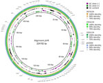 Comparative plasmid alignment of hypervirulent Klebsiella pneumoniae from the study of a fatal pneumocephalus case in Germany, completed by using BRIG (10). The innermost rings show guanine-cytosine content, and the outer ring shows the used reference virulence plasmid pK2044 (blue) from K. pneumoniae strain NTUH-K2044 from Taiwan (11). Concentric rings illustrate the virulence plasmids of the K. pneumoniae isolates from this case, 0354/24 (light green) and 0355/24 (dark green), and a patient isolate from the same hospital, 0074/24 (orange). Sequence similarity to the reference plasmid is indicated by the intensity and continuity of the colored rings. The gaps correspond to regions with no major sequence similarity. The locations of the typical virulence-associated genes (iucA, iroB, rmpA, rmpA2, peg344) (12) are visualized on the outermost ring.