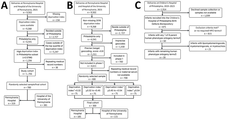 Flowchart of 3 phases of a study of lymphocytic choriomeningitis virus seroprevalence among urban pregnant women and newborns, Philadelphia, Pennsylvania, USA, 2021. A) Phase 1; B) phase 2; C) phase 3. Phases 1 and 2 used deliveries at Pennsylvania Hospital and the Hospital of the University of Pennsylvania in 2021 as the starting population. Repeated medical record numbers indicate parturient patients with multiple deliveries or >1 delivery during the study period, which would result in replicate maternal serum samples if retained. Phase 3’s starting population was the Children’s Hospital of Philadelphia Special Delivery Unit newborns delivered from the inception of the Birth Defects Biorepository during June 1, 2019–June 1, 2023. *Deprivation index ranges were determined using the Community Deprivation Index (https://github.com/geomarker-io/dep_index) on the basis of the geocoded address and quartile values were calculated on the full eligible cohort before phase-specific exclusions (n = 4,611). †Exclusion criteria included no cytomegalovirus testing on file, no placenta tissue available, and plasma not available for both maternal/infant matched samples even within the first few weeks after delivery. ‡The 8 overall HPO terms (https://hpo.jax.org) used encompassed 615 conditions. Those 8 HPO terms were abnormal choroid morphology, abnormal retinal morphology, cerebral calcification, intracranial cystic lesion, abnormality of neuronal migration, abnormal cerebral morphology, open neural tube defect, and abnormal cerebral ventricle morphology. §After excluding lipomyelomeningocele, myelomeningocele, and myeloschisis, 612 children’s HPO conditions remained. HPO, Human Phenotype Ontology.