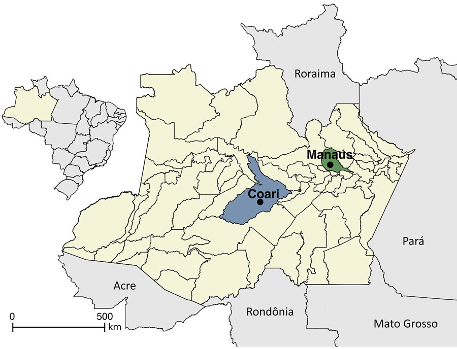 Coari and Manaus municipalities within Amazonas, Brazil, in seroepidemiologic study of Oropouche virus, 2015–2016. Inset shows location of Amazonas state in Brazil. 