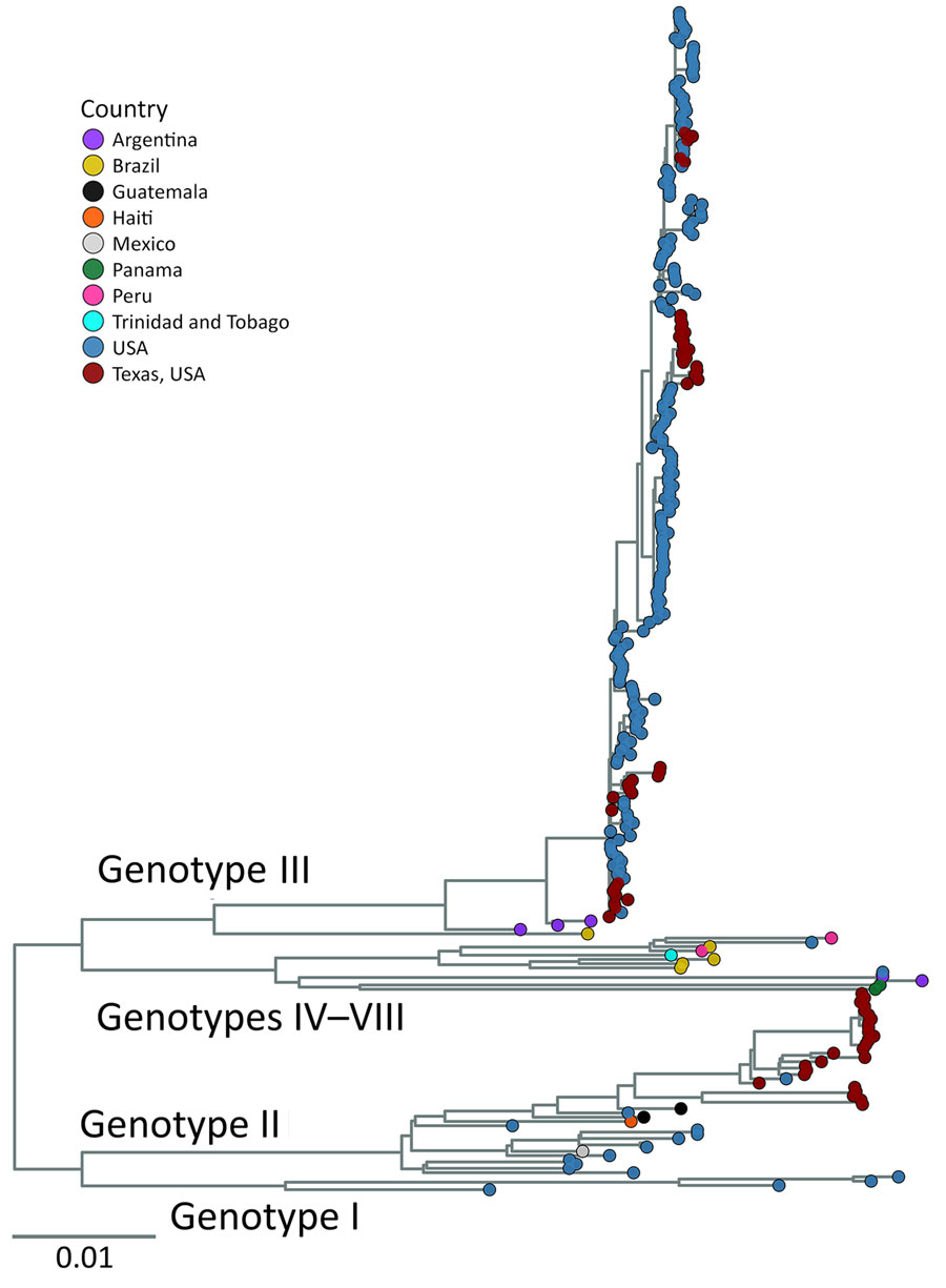 Maximum-likelihood phylogenic analysis of all St. Louis encephalitis virus genomes from study of circulation of genotype II and III St. Louis encephalitis virus, Texas, USA, 2009–2024. Maximum-likelihood inferred tree shows 276 genomes currently available that have <30% of the genome missing. Tip color represents sample’s country of origin; samples from Texas are labeled with a separate color (red) to distinguish Texas samples from rest of United States. Genotypes annotated on the tree indicate which clade contains which genotype or genotypes. Tree was midpoint rooted. Scale bar indicates number of nucleotide substitutions per site.
