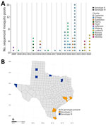 SLEV genotype distribution from study of circulation of genotype II and III SLEV, by year and county, Texas, USA, 2009–2024. A) Dot plot of number of sequenced SLEV-positive mosquito pools for each year, by genotype and county. Each shape represents an individual mosquito pool. B) Map of Texas indicating presence of SLEV genotype II or III. Each genotype exclusively found in its respective counties; no counties had presence of both genotypes. SLEV, St. Louis encephalitis virus.