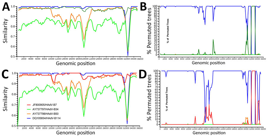 Recombination analysis between 2 novel strains and other species HAdV-B genotypes from a study of novel recombinant human adenovirus genotype B117 from 2 pediatric cases, China. A, B) SimPlot (A) and BootScan (B) analysis of the whole genome of the BJ-2024-563/2019 strain. C, D) SimPlot (C) and BootScan (D) analysis of the whole genome of the BJ-2024-565/2019 strain. HAdV, human adenovirus.