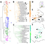 Phylogeographic analysis of Borna disease virus 1 (BoDV-1) infections in hedgehogs in Bavaria in study of the virus as cause of fatal meningoencephalomyelitis in wild hedgehogs, Germany, 2022–2025. A) Phylogenetic analysis of partial genomic BoDV-1 sequences (N, X, and P genes, encoding the nucleoprotein, accessory X protein, and phosphoprotein, respectively; 1,824 nucleotides, representing genome positions 54–1,877) of all 15 BoDV-1-infected hedgehogs in combination with 258 BoDV-1 sequences from naturally infected animals and humans available from public databases (1,9). Colors of tree branches represent BoDV-1 sequence clusters. Grey boxes mark the subtrees shown in detail in panels B and C. B, C) Detailed presentation of the subtree of cluster 1A, 1B (B), and of clusters 2–5 (C), which contain all 15 hedgehog-derived sequences (black text). Colors of vertical bars represent subclades of cluster 1A and 2 (1). D) BoDV-1-endemic area in Germany, Austria, Switzerland, and Liechtenstein (1). Colors represent the phylogenetic clusters shown in panel A. Licensed under a Creative Commons Attribution 4.0 International License (https://creativecommons.org/licenses/by/4.0). E, F) Detailed phylogeographic mapping of BoDV-1 cases from the phylogenetic subtree of cluster 1A (E) as shown in panel B or cluster 2 (F) as shown in panel C, to their distribution areas in Bavaria. Colors represent the different subclades. For data protection, human cases are mapped no more precisely than to the center of the administrative district of their origin. 