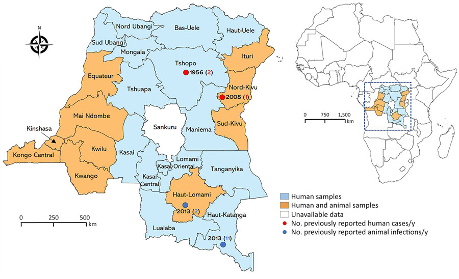 Provinces of sample collection and locations of previously reported human and animal infections in study of seroprevalence of Crimean-Congo hemorrhagic fever virus infection in humans and domestic ruminants, Democratic Republic of the Congo. Light blue shading indicates sites where only human samples were collected; orange shading indicates those where both human and animal samples were collected. Red dots represent locations where human cases have been reported, including number of cases and year of report. Blue dots represent locations with serologic evidence of Crimean-Congo hemorrhagic fever virus in animals, including number of seropositive animals and year of report. Inset shows location of the Democratic Republic of the Congo within Africa. QGIS software version 3.14 (https://qgis.com) was used to generate maps.
