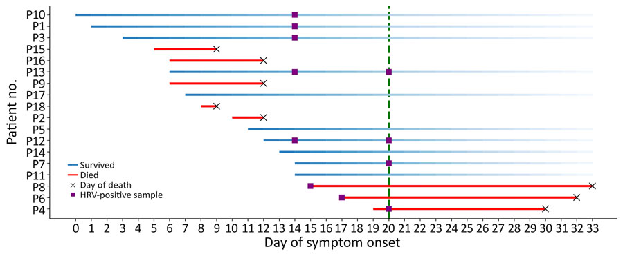 Timeline of severe respiratory illness and death associated with outbreak of HRV-B14 among older adults, France, 2024. Each row represents 1 case and starts on the day of symptom onset, on the basis of retrospectively collected information. Crosses indicate timeline for death. Purple squares indicate HRV RNA–positive samples. The green vertical dotted line indicates transfer of clinical samples to the Marseille laboratory for more extensive diagnosis and metagenomic analyses. Patient 9 had 2 additional HRV-positive postmortem samples (data not shown). No tests were performed for cases P15–P18. No nasopharyngeal swab sample was available for P2. HRV, human rhinovirus.
