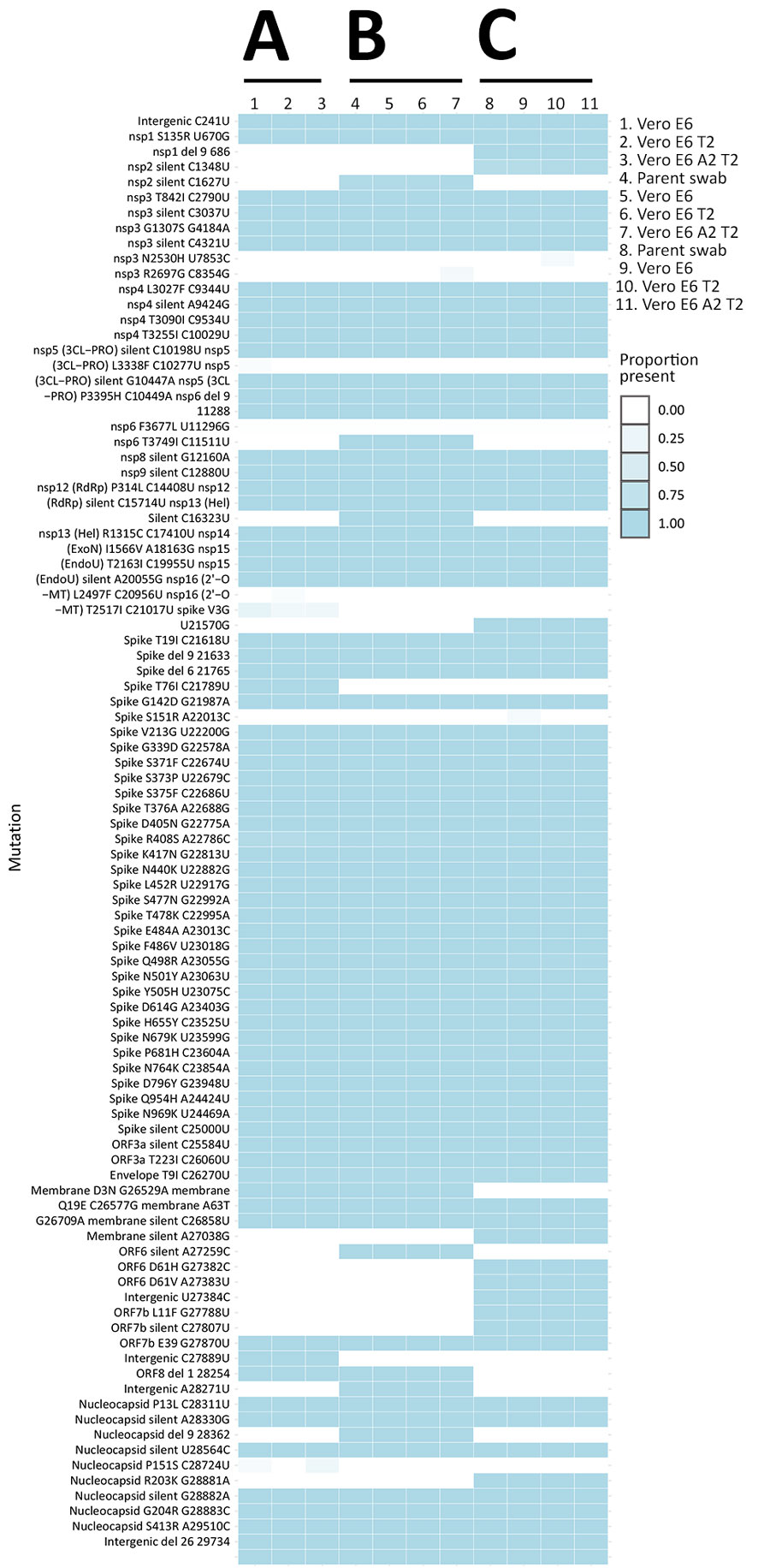 Heatmap of viral whole genome sequences of patient swab specimens after first passage in the 3 cell lines Vero E6, Vero E6 T2, and Vero E6 A2T2 from study on the enhanced isolation and detection of COVID-19 in hospitalized patients undergoing antiviral therapy. Columns represent sequenced samples; rows correspond to mutations relative to the wild-type reference SARS-CoV-2 strain. Darker blue shades indicate an increased prevalence of specific mutations relative to the wild-type strain. Del, deletion; nsp, nonstructural protein; ORF, open reading frame; RdRp, RNA-dependent RNA polymerase; Vero E6 T2, Vero E6 cells expressing transmembrane protease serine 2; Vero E6 A2T2, Vero E6 cells expressing both transmembrane protease serine 2 and angiotensin-converting enzyme 2.