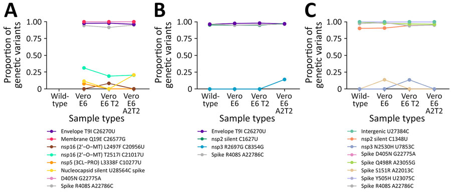 Minor variants identified after passage 1 from SARS-CoV-2 BA.5 Omicron variant positive nasal swab specimens in 3 cell lines Vero E6, Vero E6 T2, and Vero E6 A2T2 from study on the enhanced isolation and detection of COVID-19 in hospitalized patients undergoing antiviral therapy. This figure shows the minor variants observed in the 3 virus culture isolates obtained after passage 1 from nasal swab samples from patients 1, 17, and 20 that were SARS-CoV-2 positive and were a BA.5 Omicron variant. Vero E6 T2, Vero E6 cells expressing transmembrane protease serine 2; Vero E6 A2T2, Vero E6 cells expressing both transmembrane protease serine 2 and angiotensin-converting enzyme 2.