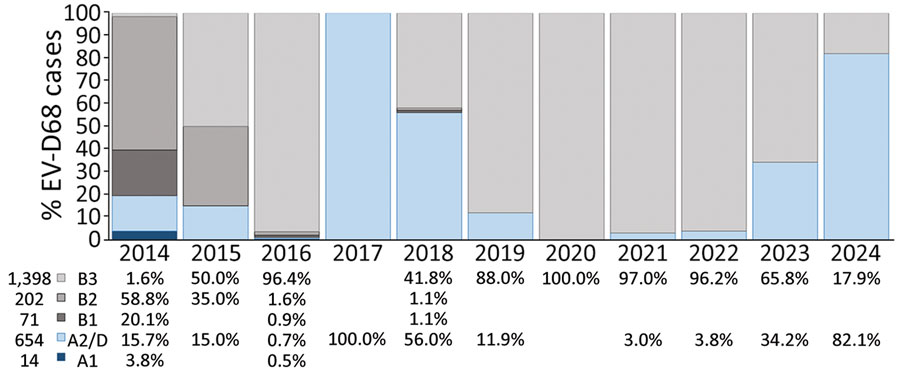 Yearly percentage and global distribution of EV-D68 cases, by clade, in study of circulation patterns, genetic diversity, and public health implications of EV-D68 circulation, Europe, 2014–2024. Numbers at bottom left indicate total numbers of cases by clade during the study period. EV-D68, enterovirus D68.
