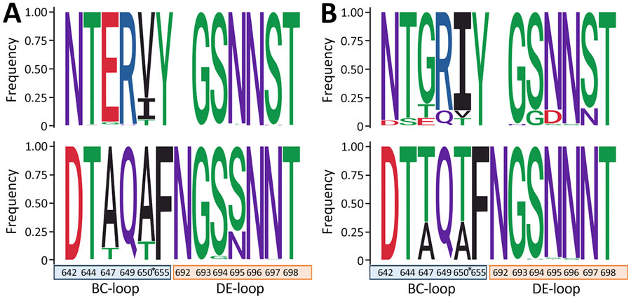 Frequency of amino acid changes within the antigenic epitopes of the viral protein 1 (BC- and DE-loops) in clades A2/D and B3 in study of circulation patterns, genetic diversity, and public health implications of enterovirus D68 circulation, Europe, 2014–2024. A) Amino acid changes in the prepandemic period (2014–2019) in clade A2/D (top) and clade B3 (bottom); B) changes during pandemic and postpandemic periods (2020–2024) in clade A2/D (top) and clade B3 (bottom). Amino acids are colored according to their chemistry. Numbering is related to complete enterovirus D68 genome. Asterisks indicate position 650, also related to neurovirulence in mice. Image was created with Weblogo 3 (41).