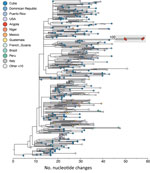 Maximum-likelihood phylogenetic tree for dengue virus serotype 3, lineage III_B.3.2, Angola. Tips are colored by country of infection. Luanda sequences are shown in red (Appendix Figures 5, 6, https://wwwnc.cdc.gov/EID/article/31/11/25-1079-App1.pdf). Countries with <10 sequences are grouped as other and include Costa Rica (n = 7), Trinidad and Tobago (n = 7), Haiti (n = 4), Guyana (n = 3), Italy (n = 2), El Salvador (n = 2), Saint Lucia (n = 1), Saint Martin (n = 1), Panama (n = 1), Niger (n = 1), and Venezuela (n = 1).