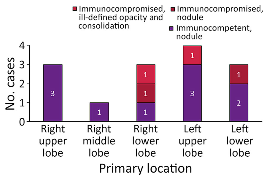 Locations and characteristics of primary lung lesions in patients with pulmonary histoplasmosis in Taiwan, 1997–2024.