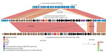 Near sequence identity shared between pneumococcal isolates 1–15 and Streptococcus pseudopneumoniae strain 315_SPE in mobile element insertion region in study of independent acquisitions of multidrug resistance gene lsaC in serotype 20/ST1257 S. pneumoniae isolates, United States. The near-identical region includes much of the mobile element itself, and flanking genes that diverge from pneumococcal parental recipient strain (top). The EasyFig (20)  output homology was modified to reflect boundaries between marked homology differences between the 2 pneumococcal strains (focused upon orf17 only) and between the middle pneumococcal strain and the below S. pseudopneumoniae strain (encompassing the last 3 orfs of the mobile elements and most of orf17). ST, sequence type.