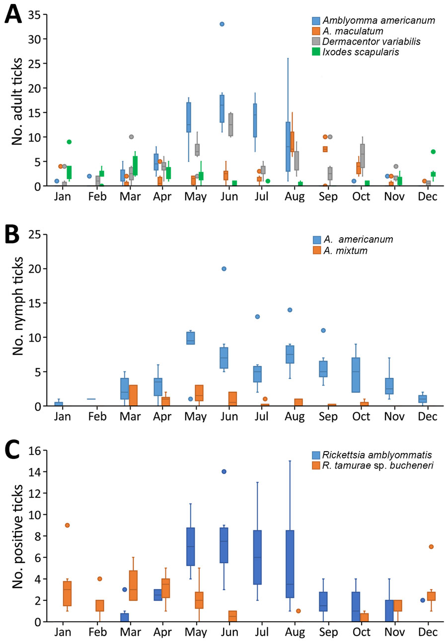 Box plot graph displaying temporal patterns of ticks submitted in Texas, USA, 2014–2021. A) Adult ticks; B) nymphs; C) Rickettsia amblyommatis and R. tamurae subspecies buchneri–positive ticks. Horizontal lines within boxes represent medians, box tops and bottoms indicate interquartile ranges (IQRs), and error bars represent minimum value within 1.5 × IQR below 25% and maximum value within 1.5 × IQR above 75%. Outlier points are data points <25% − 1.5 × IQR or >75% + 1.5 × IQR.