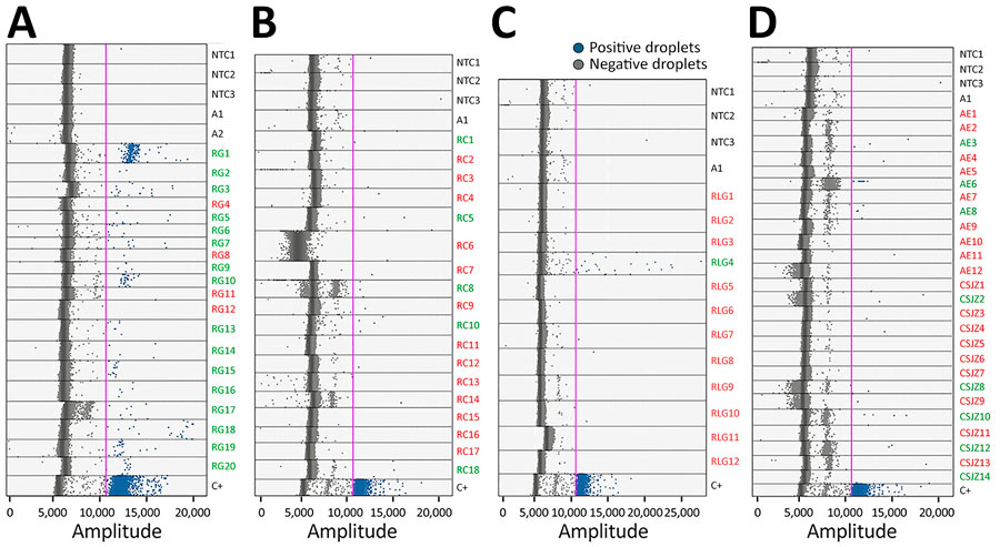 Distribution plot from droplet digital PCR analysis of Coccidioides spp. fungi DNA from soil samples, Baja California, Mexico. A) Samples from RG; B) samples from RC; C) samples from RLG; and D) samples from AE and Community of San José de la Zorra (CSJZ). The pink line represents the fluorescence threshold. Red text indicates negative sampling sites; green text indicates positive sampling sites. A1–2, negative templates of 28.8 ng of Aspergillus fischeri DNA; AE, Agua Escondida; C+, 0.048 ng of C. posadasii DNA used as positive template; CSJZ, Community of San José de la Zorra; NTC1–3, nontemplate controls of highly refined type I ultrapure (HPLC) water; RC, Rancho Carrizo; RG, Rancho Gilbert; RLG, Rancho las Golondrinas.