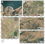 Negative and positive sites for enhanced detection of Coccidioides spp. fungi from environmental samples using droplet digital PCR, Baja California, Mexico. A) Rancho Carrizo; B) Rancho las Golondrinas; C) Rancho Gilbert; D) Community of San José de la Zorra; E) Agua Escondida.