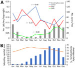 Correlation of trapping success with seasonal characteristics in study of Leptotrombidium imphalum chiggers as vector for scrub typhus in human settlements, India, 2022–2023. A) Monthly small mammal catches per trap night, by habitat (center of village, edge of village, or field outside village), compared with numbers of monthly human scrub typhus cases. Case numbers adapted from Devamani et al. (13). B) Monthly rainfall (blue bars) and average daily temperature (orange line) 1991–2021. Source: India Meteorological Department (https://mausam.imd.gov.in). Scales for the y-axes differ substantially to underscore patterns but do not permit direct comparisons. 