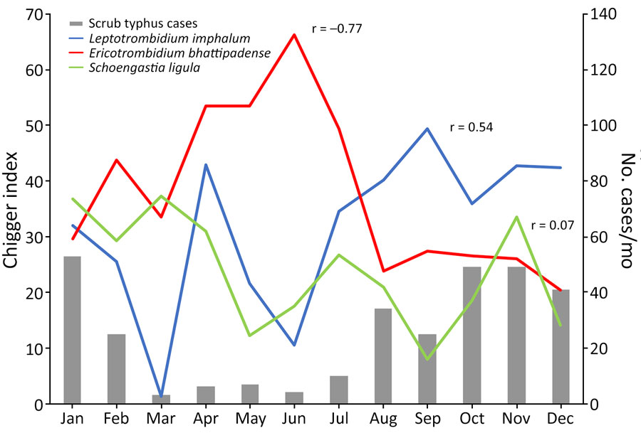 Chigger index by month in study of Leptotrombidium imphalum chiggers as vector for scrub typhus in human settlements, India, 2022–2023. Chigger index is mean number of chiggers per host; r is correlation coefficient between chigger index for each species and monthly human scrub typhus cases. Case numbers adapted from Devamani et al. (13).