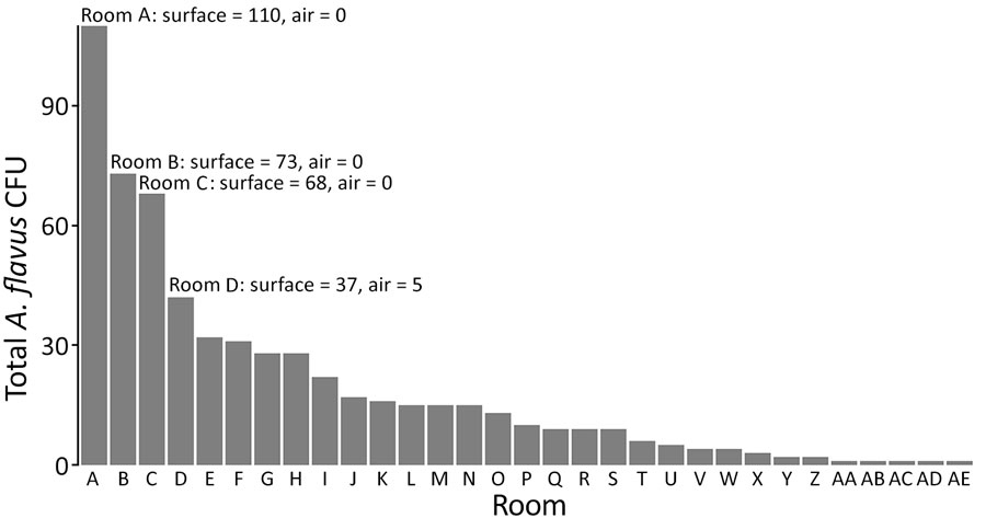 Distribution of Aspergillus flavus in hospital pediatric hemotology ward in study of environmental and phylogenetic investigations of A. flavus outbreak linked to contaminated building materials, Denmark, 2025. Bar chart displays total A. flavus CFU from paired samples in March 2024 (82 air samples and 82 surface samples incubated at 25°C or 37°C). Distribution in rooms of the ward shows varying concentration of spores with some hotspots of A. flavus contamination. 