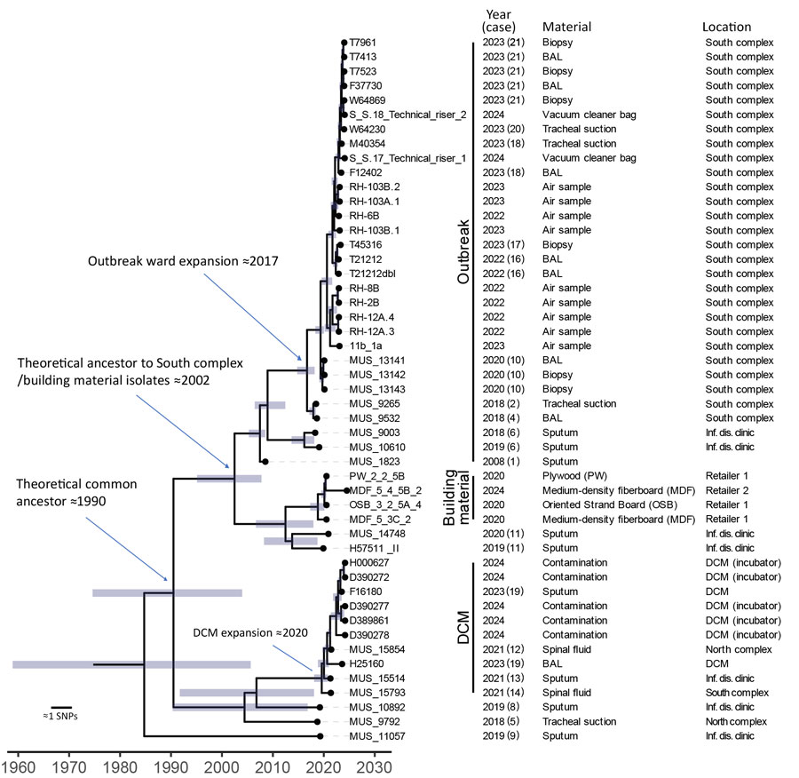 Time-scaled core-genome SNP-based phylogeny of cluster 10, which contained all outbreak isolates, in study of environmental and phylogenetic investigations of A. flavus outbreak linked to contaminated building materials, Denmark, 2025. Bars around internal nodes indicate the 95% highest posterior density (HPD) interval of the branching time. There is a distinct clustering of the South complex outbreak isolates (indicated as Outbreak), the isolates from building materials, and isolates from the DCM versus other quality control strains or strains from Denmark (Figure 4). Dating of ancestral nodes indicates that a common ancestor to the outbreak floor clonal expansion existed in the South complex around 2017 (95% HPD 2015–2018). The isolates from the outbreak floor are closely related with the building material isolates and share an inferred ancestor in 2002 (95% HPD 1995–2008). An expansion of a more recent ancestor occurred in the DCM around 2020 (95% HPD 2018–2021), detected as contamination in a laboratory incubator entailing an infection in >1 patient (case 19) and possibly also contamination of clinical samples (case 12, 13, 14) based on medical records. Earliest inferred ancestor to all outbreak isolates possibly existed around 1990 (95% HPD 1975–2004). The consensus tree was obtained using BEAST2 (https://www.beast2.org) on 723 core-genome SNPs called using an internal reference (T21212). A. flavus from patients 3, 7, and 15 were not available for sequencing. BAL, bronchoalveolar lavage; DCM, Department of Clinical Microbiology; inf. dis., infectious disease; SNP, single-nucleotide polymorphism.