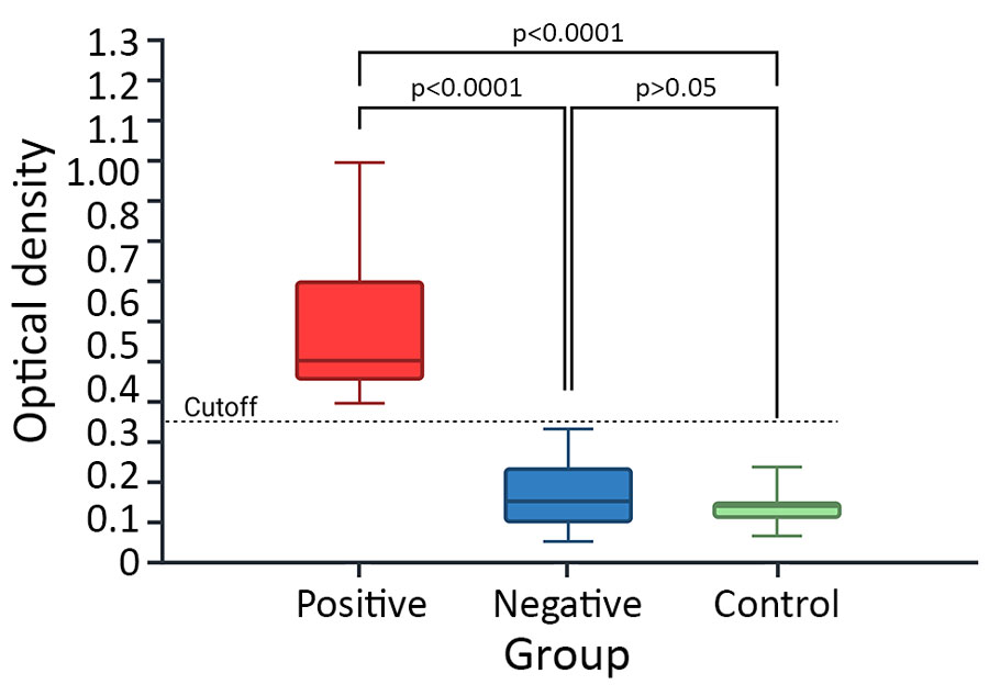 Comparative analysis of serologic responses of horses exposed to human tick-borne relapsing fever agent Borrelia persica, Israel, 2025. Box-and-whisker plot demonstrates optical density measurements from seropositive (blue), seronegative (red), and negative control (green) horses. The dashed line represents the established cutoff value (optical density = 0.35). Statistical significance was determined using a Kruskal–Wallis test followed by Dunn multiple comparison test. Results significantly distinguish between the seropositive horses compared with the seronegative and control groups, whereas the seronegative group did not significantly differ from the negative control. Horizontal lines within boxes represent median values; box tops and bottoms indicate the upper and lower quartiles; error bars represent ranges. p values are indicated. 