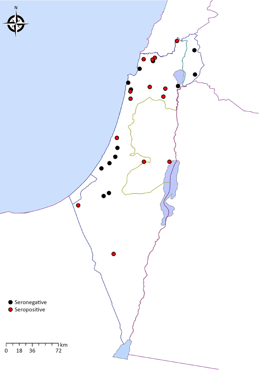 Geographic distribution of sampled horses in study of horses exposed to human tick-borne relapsing fever agent Borrelia persica in Israel that indicates the seroprevalence. Red circles represent the locations of seropositive horses; black circles denote seronegative horse locations.