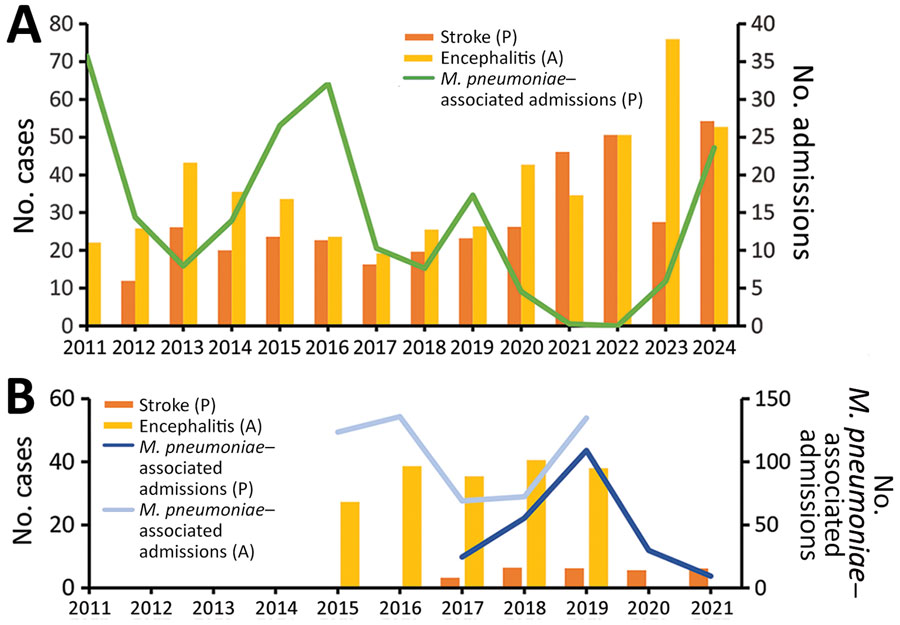 Annual trends in pediatric Mycoplasma pneumoniae–associated admissions and central nervous system complications in South Korea. A) Data obtained from 3 hospitals during 2011–2024. Bars represent ischemic stroke and encephalitis cases per 10,000 pediatric hospitalizations. Data line indicates annual M. pneumoniae–associated pediatric admissions per 1,000 hospitalizations. B) National data from 2015–2021. Bars show annual pediatric stroke and all-age encephalitis cases. Data lines represent M. pneumoniae–associated hospitalizations in pediatric and all-age populations reported to the Korea Disease Control and Prevention Agency sentinel surveillance system. All values in panel B are presented on a 1/100 scale. A, all age; P, pediatric. Scales for the y-axes differ substantially to underscore patterns but do not permit direct comparisons.