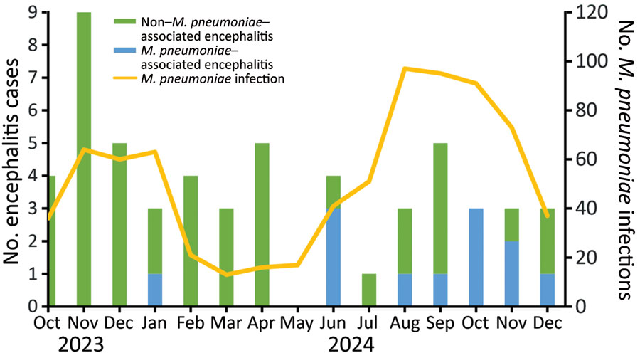 Monthly encephalitis cases by Mycoplasma pneumoniae association during the 2023–2024 epidemic, with concurrent M. pneumoniae infections (October 2023–December 2024). The bars show monthly encephalitis hospitalizations aggregated across 3 hospitals, which were divided into M. pneumoniae–associated and non–M. pneumoniae–associated cases. Data line denotes the number of M. pneumoniae infections identified at the 3 hospitals.