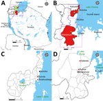 Locations of the 2023 and 2025 Marburg virus outbreaks in Kagera region, northwest Tanzania. A) The outbreaks occurred in northwest Tanzania, west of Lake Victoria, in Bukoba Rural and Biharamulo districts of the Kagera region. The region borders Uganda, Burundi and Rwanda. Green shading indicates Kagera region. Red shading indicates the affected districts. B) Expanded view of boxed area from panel A shows epicenters for both outbreaks (stars). Upper box marks the location of the 2023 outbreak in a village south of Bukoba town; lower box marks the location of the second outbreak in a village north of Biharamulo town. C) Locations of the 2023 outbreak in Bukoba Rural district. Red dots indicate affected villages. D) Locations of the 2025 outbreak in Biharamulo district. Red dots indicate affected villages.