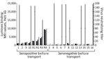 HeV serology of 20 flying foxes following arrival at Australian Centre for Disease Preparedness (ACDP) for a study of natural Hendra virus infections in captive Australian black flying foxes, Queensland, Australia. Detection of antibodies against HeV sG by an in-house Luminex indirect antibody binding serology assay in 20 flying foxes monitored in Queensland in December 2022 and February 2023 (black bars) and March 2023 (hatched bars) before transport and 1 day after arrival at ACDP (gray bars). Luminex data displayed as bars (left y-axis) representing MFI. Virus neutralization tests shown as star symbols (right y-axis). Samples with MFI >1000 (dotted line) considered positive. MFI values classified as high (>10,000), medium (4,000–10,000), low (1,000–4,000), and negative (<1,000). Virus neutralization test results were performed only on samples collected 1 day after arrival at ACDP. Bat identification numbers are indicated on the x-axis. All Luminex serologic testing on samples collected in Queensland and ACDP were performed at ACDP on a Bioplex 200 Array system integrated with Bio-Plex Manager Software 6.2 (Bio-Rad Laboratories, https://www.bio-rad.com). MFI, median fluorescence intensity.