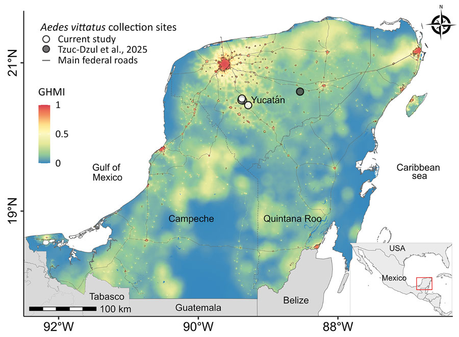 Map of Aedes (Fredwardsius) vittatus mosquito detection and GHMI, Yucatán Peninsula, Mexico, 2025. White circles show sites where mosquitoes were detected in this study; gray circle shows site of mosquito detection from another study (J.C. Tzuc-Dzul et al., unpub. data, https://doi.org/10.21203/rs.3.rs-6786909/v1). Inset shows Mexico with study region marked. Map is overlaid with the GHMI (0.09 km2 resolution). GHMI measures landscape modified by humans and values range from 0 (unmodified) to 1 (completely modified). Gray lines indicate main federal and state roads. GHMI, Global Human Modification Index.