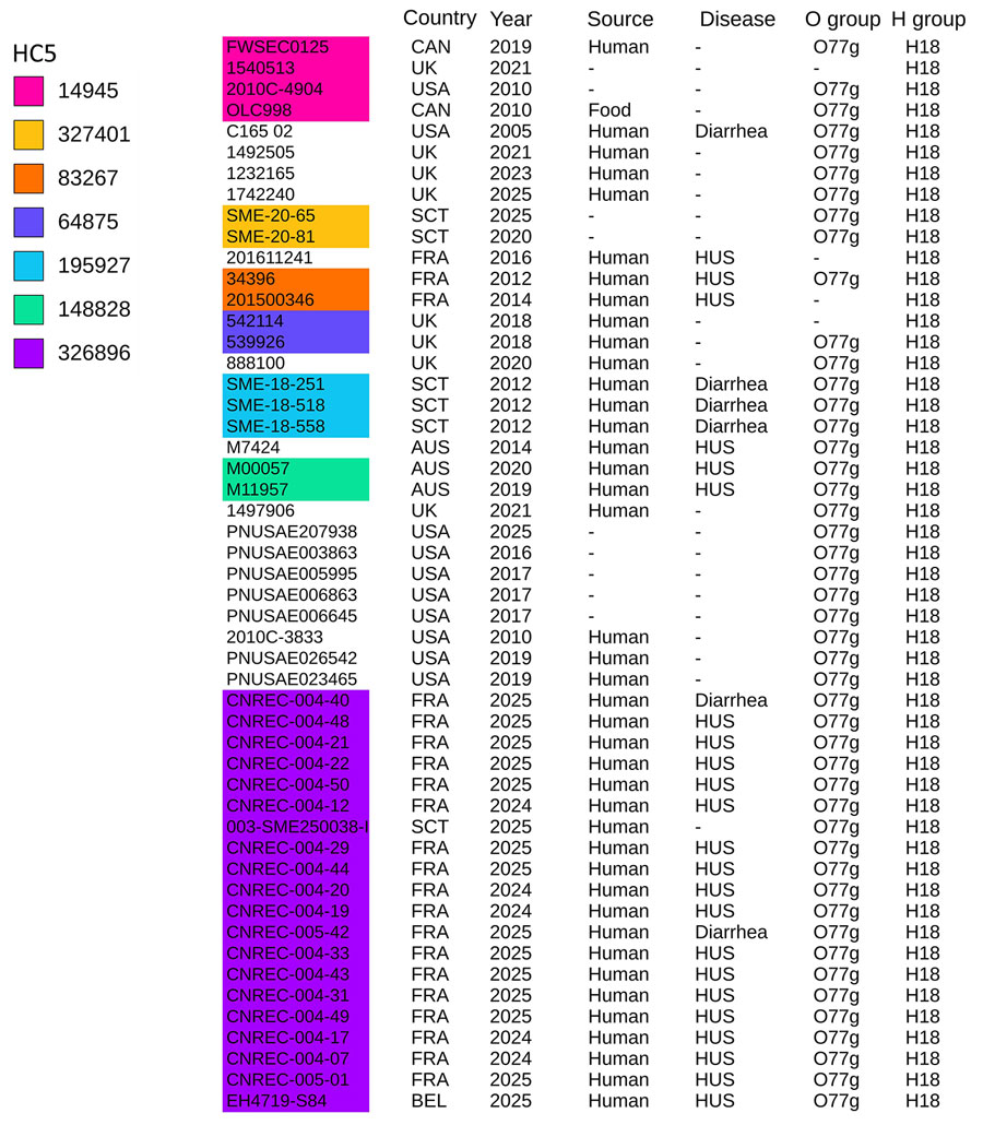 Distribution of genes encoding major virulence factors of 51 Shiga toxin–producing Escherichia coli isolates from study of hemolytic uremic syndrome outbreak in adults and Shiga toxin–producing Escherichia coli negative for locus of enterocyte effacement, France, 2025. Shown are the France 2025 outbreak strain (HC5 326896, in purple) and other strains with the same core-genome multilocus sequence typing HC200 2073 group identified in EnteroBase and GenBank (Appendix Table 1). Heatmap assembled from phylogenic tree using ITOL tool (https://itol.embl.de), based on gene sequences of reference isolate CNREC_004-7. The score represents the combination of percentage coverage and percentage nucleotide identity. Asterisk indicates genes located on the large plasmid (134 kb). Figures 1–3 are combined in Appendix Figure 1.