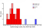 Quadruplex PCR results from study of hemolytic uremic syndrome outbreak in adults and Shiga toxin–producing Escherichia coli negative for locus of enterocyte effacement, France, 2025. We performed quadruplex PCR on fecal extracts targeting 2 chromosomic genes: O77 g (wzy) (609-bp) and neuS K92 (247-bp), and 2 loci on the 134 kb plasmid: elt (163-bp) and the phytase-tpx region (285-bp). Wells 1 to 4, fecal samples (stx2+ but culture negative) positive for both chromosomal and plasmid targets (P+) defining probable cases. Well 5, fecal samples positive only for chromosomal targets defining possible case. Well 6, fecal specimen from patient with isolate CNREC-004–43, which had lost its 134kb plasmid probably in vivo. Well 7, specimen from patient with isolate CNREC-004-49, showing plasmid target signals absent in the corresponding isolate DNA, suggesting partial plasmid loss in vitro (Figure 3). Wells 8–10, fecal extracts from patients with outbreak isolates harboring the complete 134kb plasmid (CNREC-004-17, -33 and -50). Well 11, negative control.