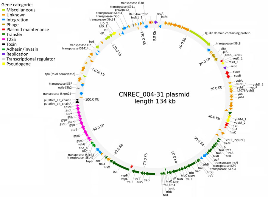 Origins and serotypes of 51 Shiga toxin–producing Escherichia coli isolates from study of HUS in adults and Shiga toxin–producing Escherichia coli negative for locus of enterocyte effacement, France, 2025. Shown are the outbreak strain (HC5 326896, in purple) and other strains with the same core-genome multilocus sequence typing HC200 2073 group identified in EnteroBase and GenBank (Appendix Table 1). Only HC5 comprising >2 genomes are colored. Country of origin, year of isolation, source, disease, and O and H serotypes are indicated; O77 g denotes serogroup from the O77 group. Dash indicates the serotype is not available. AUS, Australia; BEL, Belgium; CAN, Canada; FRA, France; HUS, hemolytic uremic syndrome; SCT, Scotland; UK, United Kingdom; USA, United States. Figures 1–3 are combined in Appendix Figure 1.