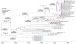 Bayesian phylogeny of 45 selected genotype D sublineage 2 coding sequences from a retrospective phylogenetic analysis of Mayaro virus, French Guiana, 1996–2024. Maximum clade credibility tree inferred by using the general time-reversible with gamma distribution and invariant site substitution model, under a strict clock and Bayesian skyline coalescent prior. The tree was generated by using TreeAnnotator version 1.10.4 (BEAST Developers, https://beast.community/treeannotator), and the resulting time-scaled phylogenies were visualized with FigTree version 1.4.3 (https://tree.bio.ed.ac.uk/software/ﬁgtree). Amino acid motifs at positions 1714–1716 are indicated by color at the terminal nodes of each sequence. Gray shaded boxes indicate dates of time to most recent common ancestor (95% highest posterior density). Bootstrap support values are indicated on the corresponding branches; a value of 1 corresponds to 100% bootstrap support. GenBank accession numbers are provided. Scale bar indicates nucleotide substitutions per site. 