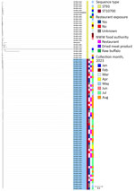 Phylogenetic tree of Salmonella Reading genomic surveillance cluster, SalRea-23-0001, including human, food and environmental isolates, in study of outbreak of Salmonella enterica serovar Reading linked to dried bovine meat, Sydney, New South Wales, Australia, 2023.