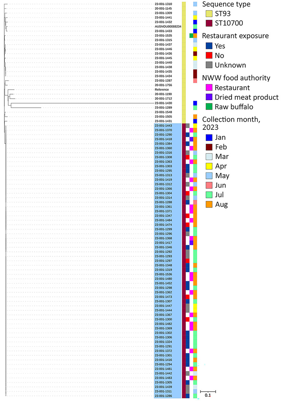 Phylogenetic tree of Salmonella Reading genomic surveillance cluster, SalRea-23-0001, including human, food and environmental isolates, in study of outbreak of Salmonella enterica serovar Reading linked to dried bovine meat, Sydney, New South Wales, Australia, 2023.