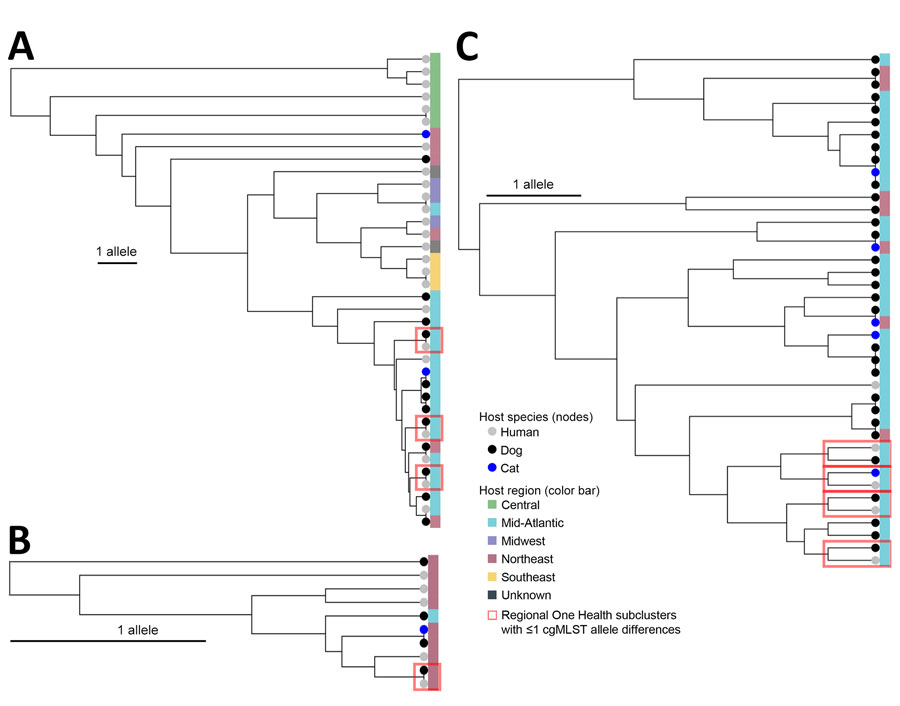 Phylogenetic core-genome multilocus sequence typing trees of Escherichia coli sequence type (ST) 617, Klebsiella pneumoniae ST307, and Enterobacter cloacae ST171 One Health clusters in study of genetically similar high-risk strains of carbapenemase-producing Enterobacterales in humans and companion animals, United States. The tree nodes are colored by host species, and the bands on the right are colored by the region of patient residence. cgMLST, core-genome multilocus sequence typing.