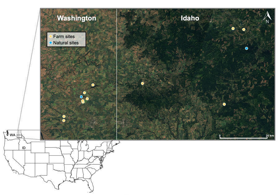 Locations of successful unique rodent sampling grids, by location type, in a study of Sin Nombre virus in rodent species sampled from farms and natural sites, Palouse region, eastern Washington and western Idaho, USA, 2023. Inset map indicates location of study area relative to rest of United States. Basemap generated in Sentinel-2 Cloudless (EOX IT Services, https://eox.at). State boundary based on US Census Bureau cartographic boundary files (https://www.census.gov/geographies/mapping-files/time-series/geo/carto-boundary-file.html).