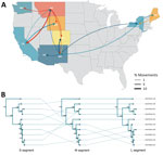 Evolutionary dynamics of Sin Nombre virus sequences, Washington, USA, 2023. A) Phylogeographic reconstruction of movements between discrete states using Markov jumps. Curve weight reflects Bayes factor support. B) Tanglegram showing topologic changes across segment trees. Connecting lines link variants. Major shifts indicate reassortment. Posterior node support shown at each node. L, large; M, medium; S, small.