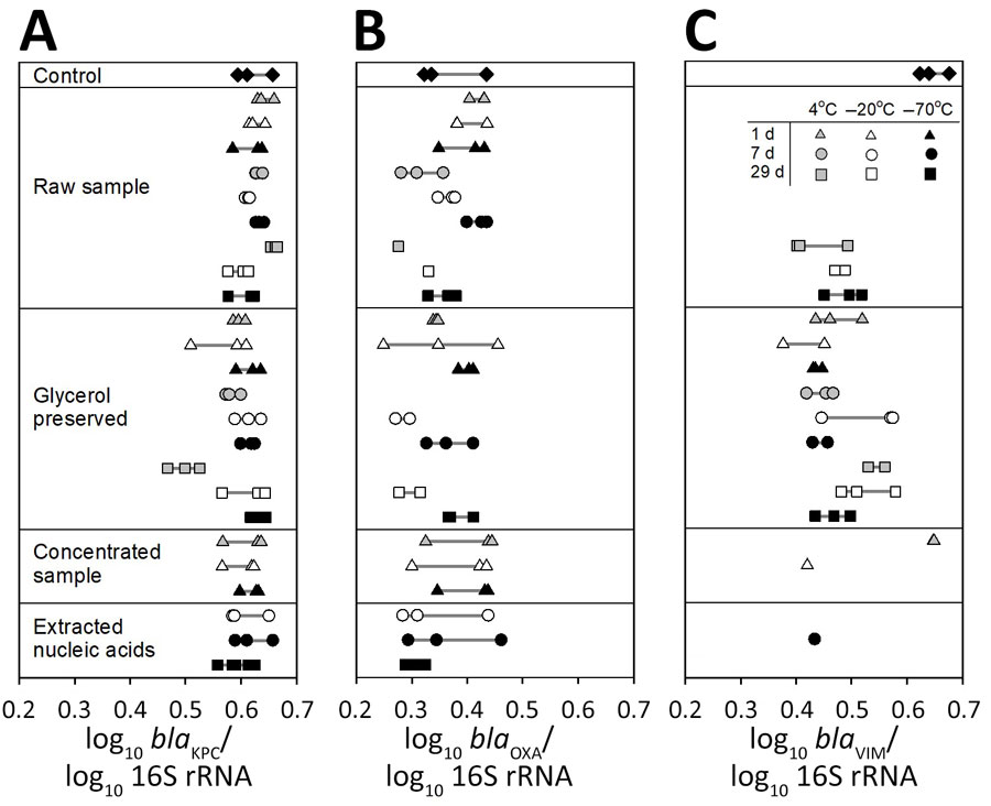Holding time and preservation temperature comparison for log10 blaKPC (A), blaOXA-48-like (B), and blaVIM (C) measured by quantitative PCR in triplicate in study of detection methods for wastewater surveillance of antimicrobial-resistant bacteria from healthcare facilities. Triangles indicate 1 day holding time, circles indicate 7 days, and squares indicate 29 days. Gray symbols indicate 4°C. white symbols indicate –20°C, and black symbols indicate –70°C. All gene copies are normalized to log10 16S rRNA gene. Horizontal gray lines show the range of values for each treatment. Control sample DNA was extracted immediately upon receipt in laboratory. Raw sample represents processed raw wastewater. Glycerol preserved are unprocessed samples preserved with 50% glycerol with Tris. Concentrated samples were polyethylene glycol precipitated for 2 hours and centrifuged, and the resulting pellet was resuspended and held at the listed temperature.