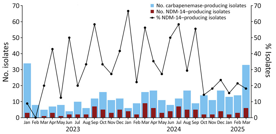 Carbapenemase-producing Klebsiella pneumoniae isolates submitted to the Laboratory Network for Infection Surveillance System of the Canary Islands by Complejo Hospitalario Universitario Insular-Materno Infantil (Gran Canaria) during January 2023–March 2025 from study of emergence of NDM-14–producing K. pneumoniae sequence type 147 clone in Spain and outbreak in the Canary Islands. Numbers and percentages of NDM-14–producing K. pneumoniae isolates compared with all isolates are shown. Isolates were submitted if they fulfilled >1 of the following criteria: recovery from clinical samples associated with invasive infection (excluding colonization); recovery from clinical or environmental sources during outbreak or epidemic events; or detection of emerging pathogens requiring enhanced surveillance, including the NDM-14–producing K. pneumoniae isolates described. NDM, New Delhi metallo-β-lactamase.